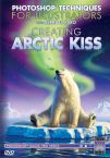 VPRODEJ: Creating Arctic Kiss